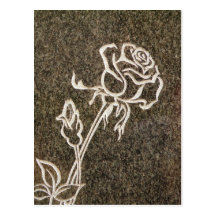 Valentine’s Day_ rose Postcard