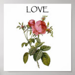 Valentine Vintage Rose Flower_Art Love Poster FLR