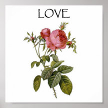 Valentine Vintage Rose Flower_Art Love Poster FLR