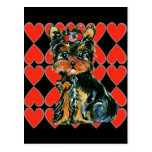 Valentine Yorkie Poo Carte Postale