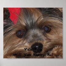 Valentine Yorkie Will You Marry Me? Print