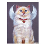 Valentine's Angel (Ragdoll cat) Post Cards