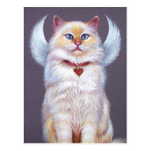 Valentine's Angel (Ragdoll cat) Post Cards
