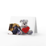 Valentine's boxer puppy and teddy bear cards