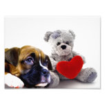 Valentine's boxer puppy photo print
