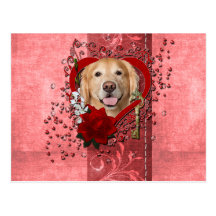 Valentines - clé à mon coeur - golden retriever - cartes postales