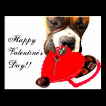 Valentine's Day Boxer dog greeting card postcards