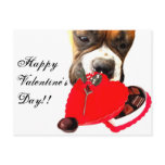 Valentine's Day Boxer dog greeting card postcards