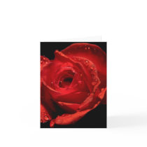 Valentine's Day card