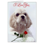 Valentines Day card
