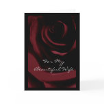 Valentine's Day Card, Wife, Deep Red Rose
