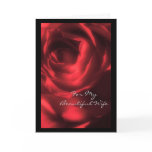 Valentine's Day Card, Wife, Deep Red Rose