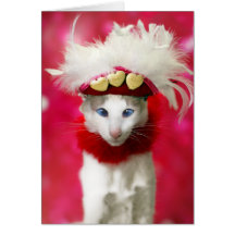 Valentine's Day Cute Cat Card