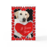 Valentine's Day Dog Card