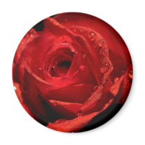 Valentine's Day magnet