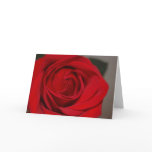 Valentine's Day Rose Greeting Cards