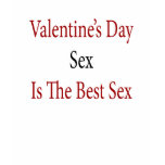 Valentine's Day Sex Is The Best Sex t-shirts