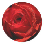 Valentine's Day Stickers