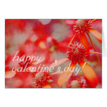 Valentine's Floral Cards