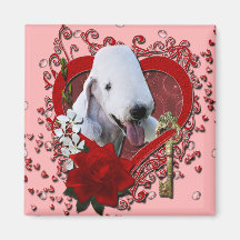 Valentines - Key to My Heart - Bedlington Terrier Refrigerator Magnets