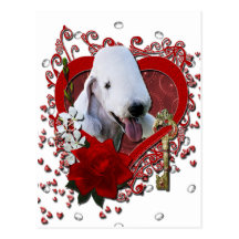 Valentines - Key to My Heart - Bedlington Terrier Post Card
