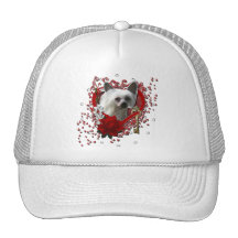 Valentines - Key to My Heart - Chinese Crested Mesh Hats