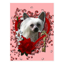 Valentines - Key to My Heart - Chinese Crested Post Card