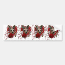 Valentines - Key to My Heart - Kangaroo Bumper Stickers