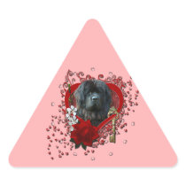 Valentines - Key to My Heart - Newfoundland Triangle Sticker