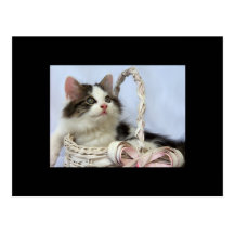 Valentine's Kitten ACEO Art Trading Card Post Card