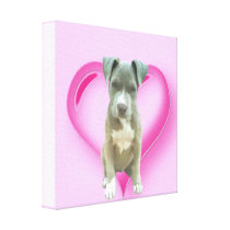 Valentines Pitbull puppy Canvas Prints