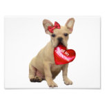 Valentin's French Bulldog puppy Art Photo