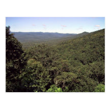 Vallée verte de forêt cartes postales