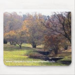 Valley Garden State Park, Wilmington, De. Mouse Mat