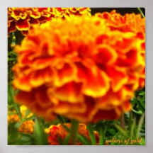 valleys of gold. print