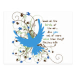 Value of Birds Postcards