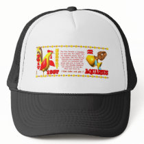 ValxArt 1957 2017 zodiac fire rooster Aquarius Mesh Hat