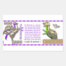 Valxart 1990 2050 MetalHorse zodiac Capricorn Rectangular Sticker