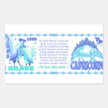 Valxart 1993 2053 WaterRooster zodiac Capricorn Sticker