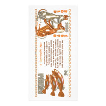 Valxart's 1970 2030 MetalDog zodiac born Pisces Picture Card