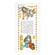 Valxart's 1971 2031 MetalPig zodiac born Aquarius Photo Card Template