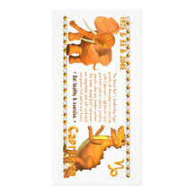 Valxart's 1985 zodiac wood bull born Capricorn Photo Greeting Card