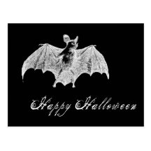 Vampire Bat Wishes Post Card