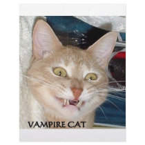 VAMPIRE CAT CUSTOM LETTERHEAD