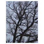 Vampire Tree Flyer Design
