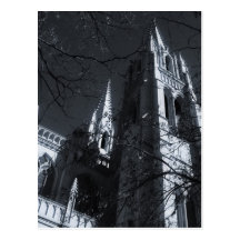 Vampire's Lair Postcard
