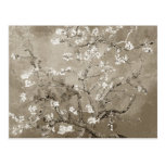 Van Gogh Almond Branches in Bloom - Sepia Post Card