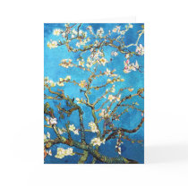 Van Gogh Almond Branches in Blossom Cards