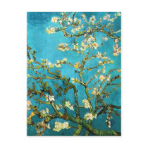 Van Gogh Almond Branches Postcard