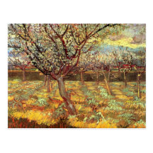 Van Gogh; Apricot Trees in Blossom, Vintage Art Postcards